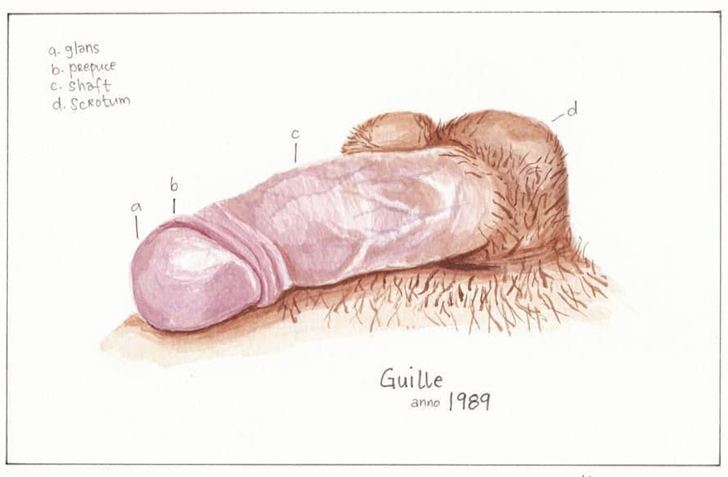 penis
